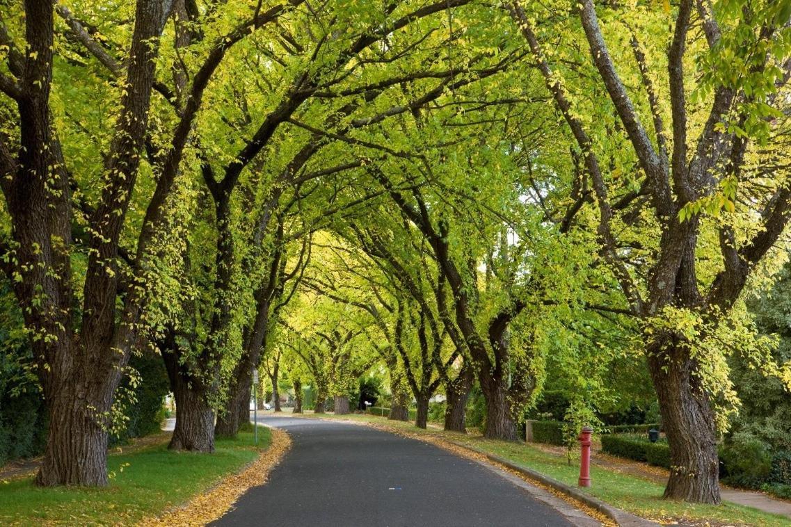 Forrest Hotel & Apartments Canberra Zewnętrze zdjęcie